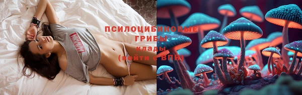 героин Лагань