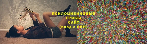 PSILOCYBIN Лабытнанги