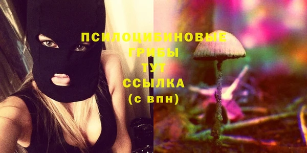 мескалин Ладушкин