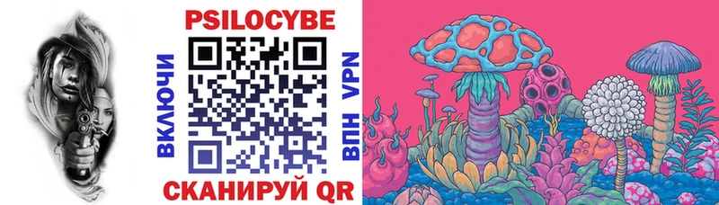 Галлюциногенные грибы Psilocybine cubensis omg tor Горячеводский купить наркотики сайты